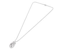 Colgante de Urnas para Mascotas, Colgante de Cenizas para Gatos, Perros, Joyas Conmemorativas, Resistente a la Oxidación, en Acero Inoxidable, un Aspecto Resistente a la Desventaja, Elegante con (L)