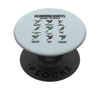 Colibríes Alrededor del Mundo Amante de Las Aves PopSockets PopGrip Adhesivo