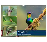Colibris - pierres précieuses volantes (Calendrier mural 2026 DIN A3 vertical), CALVENDO calendrier mensuel: Les colibris du Costa Rica et de ... brillants à travers la forêt de nuages.