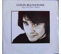 COLIN BLUNSTONE - SAY YOU DON'T MIND 7 INCH (7" VINYL 45) UK JSE 1990