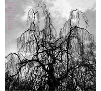 Colin Stetson and Sarah Neufe Never Were the Way She W (Vinyl) (Importación USA)
