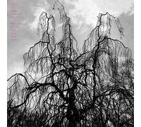 Colin Stetson And Sarah Neufeld - Never Were The Way She Was [Vinilo]