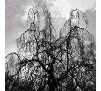 Colin Stetson And Sarah Neufeld - Never Were The Way She Was [Vinilo]