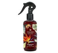 Colinas de Provenza, Niebla de Lino - Flor del Paraíso