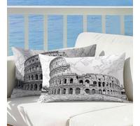 Coliseo Funda Cojin 60x80 Juego de 2 En blanco y negro, Cojines Exterior Impermeable Terciopelo Decorativos Funda Almohada Patrón Impresión Doble Cara con Cremallera para Sofá Decoración Hogar, Cod520