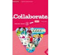 Collaborate Level 2 Project Book