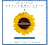 Collaborations: Into the Moment (Synchronicity)