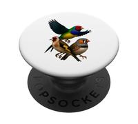 Collage de pájaro pinzón Realista diseño de Cebra jilguero gouldian PopSockets PopGrip Adhesivo