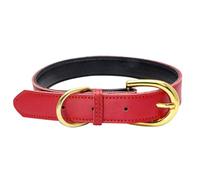 Collar acolchado de cuero genuino para perro, collares redondos suaves y ajustables, resistentes al agua, collar clásico para mascotas, hebilla de metal para perros pequeños, medianos y grandes