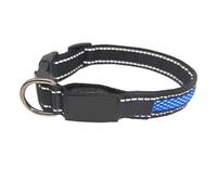 Collar Ajustable para Mascotas Juego de Correa Nailon con Cuello for Mascotas LED Multicolor 2 Piezas for Perros Que Caminan Noche en Varios tamaños(Blue,25-30cm)