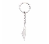 Collar Amaxer con mapa de Israel y Palestina para hombre, diseño geográfico, acero inoxidable, L50