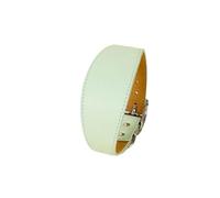 Collar ancho de cuero para perros pequeños, medianos y grandes, accesorios para mascotas de galgo, galgo, perro salchicha (verde, XL)