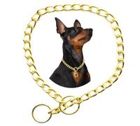 Collar Choke para perros, plata XS metal Slip Link Training Heavy Duty Dog Choker Halskette Martingala Welpenhalsbänder para XXS XS Small Medium Large Big XL raza perros