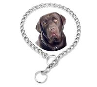 Collar Choke para perros, plata XS metal Slip Link Training Heavy Duty Dog Choker Halskette Martingala Welpenhalsbänder para XXS XS Small Medium Large Big XL raza perros