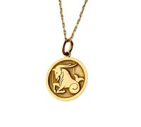Collar con colgante de Capricornio en plata de ley 925 y oro |LK_NLC_01341 | round medallion gold plated peace dove charm with 18 inch cable chain symbolic nature jewelry gift
