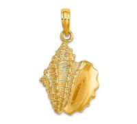 Collar con colgante de concha de caracola de oro amarillo macizo de 10 quilates de 14,2 mm para mujer