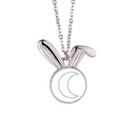 Collar con colgante de conejo con forma de tótem y símbolo de luna, joyería de regalo
