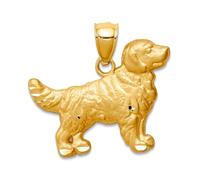 Collar con colgante de Golden Retriever grabable de 14 quilates, joyería de regalo para mujer, Metal