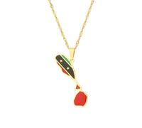 Collar Con Colgante De Mapa De La Federación De San Cristóbal Y Nieves Para Mujeres Y Hombres. Collar Con Mapa De La Ciudad Y El País. Regalo Personalizado Para Niñas Y Niños. Joyería De Hip Hop.