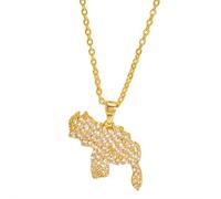 Collar con colgante de mapa de Venezuela para mujeres y hombres, joyería de acero inoxidable, joyería venezolana, collar con colgante de bandera de mapa de Venezuela, regalo venezolano, 1pcs, A