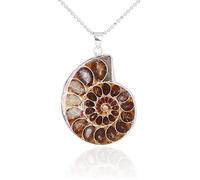 Collar con colgante en espiral de fósil de amonita natural con cadena de plata, Plata Fossil Plata, Amonites
