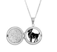 Collar con medallón con símbolo del zodiaco de Aries con constelación de Aries, joyería para regalo de cumpleaños