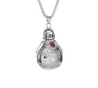 Collar conmemorativo para cenizas y pelaje, elegante medallón de plata con piedra roja. Mantén a tu querida mascota cerca de tu corazón, regalo de condolencias por la pérdida de mascotas