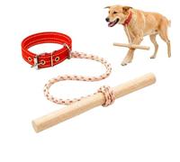 Collar Corrector Para Perros Ayuda De Comportamiento Limitador De Velocidad