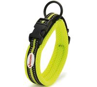 Collar de acción con bandas reflectantes y anti-irritantes para perros Record