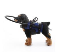 Collar de asistencia de configuración rápida para perros sin visión, tamaño M, evita accidentes, confianza al aire libre, fácil asistencia de entrenamiento