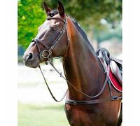 Collar de caballo elástico con cuello desmontable Tattini Cob