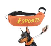 Collar de cachorro y correas, collar de correa para perros | Correo y collar Conjunto 2 en 1 | Arnés de escape de escape de ajustable para el control de ladridos senderismo en funcionamiento impermeab