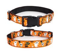 Collar de calabaza de Halloween para mascotas. Este es tu collar especial.