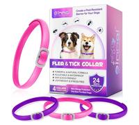 Collar De Carne De Perro, Collar De Carne De PE-rro De 4 Piezas Y Menta, Collars De Carne De PE-rro Impermeable Y Ajustable A Largo Plazo De 24 Meses - Collars De Car-ne De PE-rro (Violet y Rose)