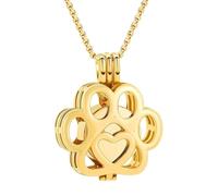 Collar de cenizas para mascotas, collar de urna de perro, recuerdo de cremación conmemorativa para pérdida de memoria, recuerdo de hombres y mujeres en casa, Refer to description, Acero inoxidable