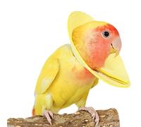 Collar de cuello de loro, collar de plumas para desplumar, collar antimordedura de pájaro, collar protector suave para quemaduras, collar curativo de loros, collar de recuperación de pájaros, collar