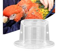Collar de Cuello de Loro Conos de recuperación de Aves Escudo Protector de Plumas de Aves para pájaros(M)