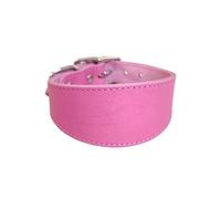 Collar de cuero suave acolchado para perros Whippet, Salukis, galgo, collar ajustable para razas grandes
