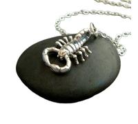 Collar de escorpión en plata de ley 925 con colgante de pequeño animal espiritual, arácnido realista, joyería sencilla del zodiaco, amuleto de fuerza e intuición | Con cadena de 45 cm | Chapado en
