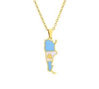 Collar De Mapa De Argentina Para Hombres Collar De Colgante De Damas - 316L Mapa De Argentina Y Collar De Bandera De Argentina Cadena De Clavícula Con Encanto Para Hombres Y Mujeres,Aureate,45Cm O 1