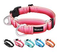 Collar de martingala Arblina para perros con hebilla UTX, collar de nylon reflectante ombre para perros sin tirones para entrenamiento y paseo