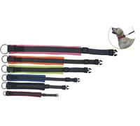 Collar de Nylon Reflectante Night para Perros 1,5 x 30-50 cm - Amarillo