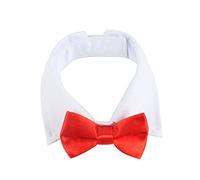 Collar de Pajarita para Perros pequeños, Disfraz de, PET40P | Collar fácil de ajustar para cachorro pequeño con traje ajustable hecho a mano Collar para perros y gatos