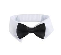 Collar de Pajarita para Perros pequeños, Disfraz de, PET46P | Collar fácil de ajustar para cachorro pequeño con traje ajustable hecho a mano Collar para perros y gatos