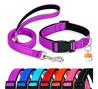 Collar de perro acolchado de neopreno suave reflectante con correa, soporte para Airtag, juego de collares de nailon ajustables para perros XS, pequeños, medianos y grandes, color morado-M