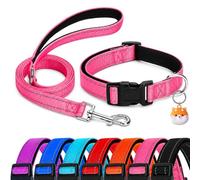 Collar de perro acolchado de neopreno suave reflectante con correa, soporte para Airtag, juego de collares de nailon ajustables para perros XS, pequeños, medianos y grandes, rosa, S