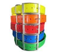 Collar de perro compatible con Garmin T20, TT25, T5, TT10, TT15, DC50 de 2,5 cm, correa de repuesto de nailon impermeable para entrenamiento, collares GPS, receptores, emisor de antena, correa de