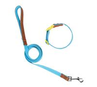 Collar de perro con correa deslizante para caminar, cuerda larga para mascotas, entrenamiento fuerte, caminar, natación, senderismo, perro para perros pequeños