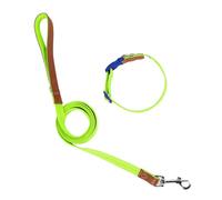 Collar de perro con correa deslizante para caminar, cuerda larga para mascotas, entrenamiento fuerte, caminar, natación, senderismo, perro para perros pequeños
