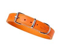 Collar de perro de piel engrasada (Sunset Orange, 47,5-59 cm)